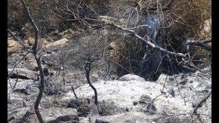 Kabylie : image de désolation laissée par un incendie dans un village Kabyle (Algérie)