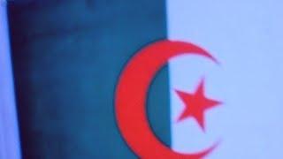 La Vérité Sur Le Drapeaux Algériens